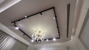 the wisdom luxury villa at omaxe phase 1 new chandigarh (16)