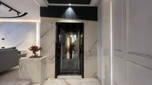 the wisdom luxury villa at omaxe phase 1 new chandigarh (18)