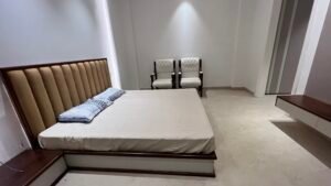 the wisdom luxury villa at omaxe phase 1 new chandigarh (4)