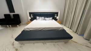 the wisdom luxury villa at omaxe phase 1 new chandigarh (7)